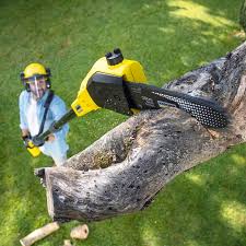 Lawn Maintenance Plans in Galatia, IL